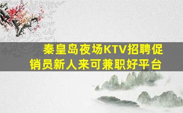 秦皇岛夜场KTV招聘促销员新人来可兼职好平台